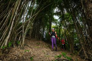 BIB: 
                            <button type="button" onclick="openModal(19396031)" class="btn btn-primary btn-sm float-right btn-popup" data-toggle="modal" data-target=".modal-high-quality">
                        <i class="fas fa-shopping-cart"></i> Add to Cart
                    </button>
                                            <button type="button" onclick="isThisMe(19396031, true)" class="btn btn-success btn-sm float-right btn-popup btn-isme hidden" data-toggle="tooltip" data-placement="bottom" title="นี่คือรูปของคุณใช่ไหม คลิกที่นี่เพื่อเอาเข้าอัลบั้ม">
                        <i class="fas fa-plus"></i> Add to album
                    </button>
                    <button type="button" onclick="isThisMe(19396031, false)" class="btn btn-warning btn-sm float-right btn-popup btn-isnotme hidden">
                        <i class="fas fa-ban"></i> Remove from album
                    </button>